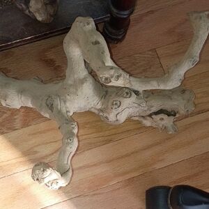 Natural Driftwood Sculpture